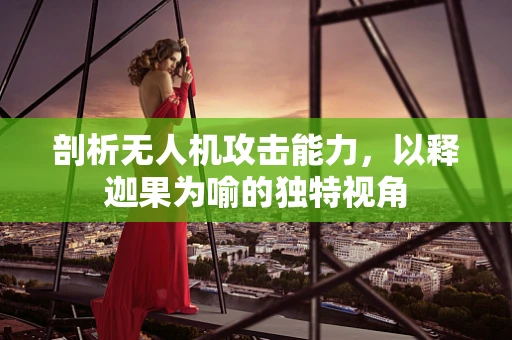 剖析无人机攻击能力，以释迦果为喻的独特视角