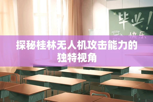 探秘桂林无人机攻击能力的独特视角