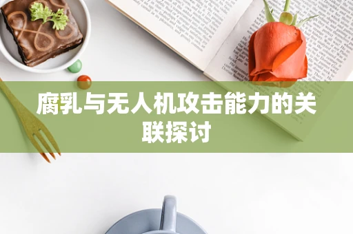 腐乳与无人机攻击能力的关联探讨