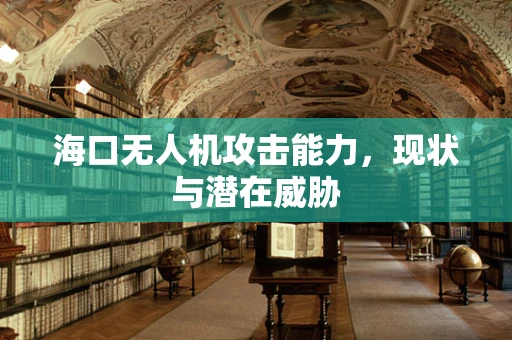 海口无人机攻击能力，现状与潜在威胁