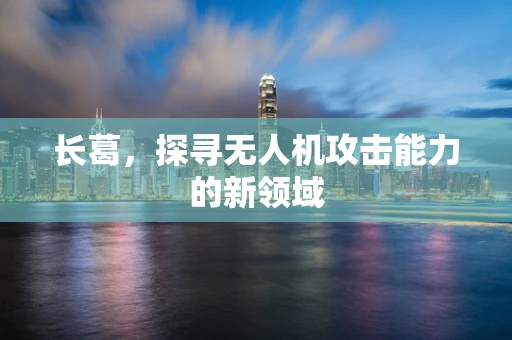 长葛，探寻无人机攻击能力的新领域