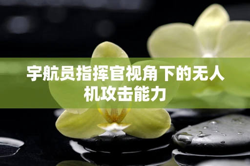 宇航员指挥官视角下的无人机攻击能力