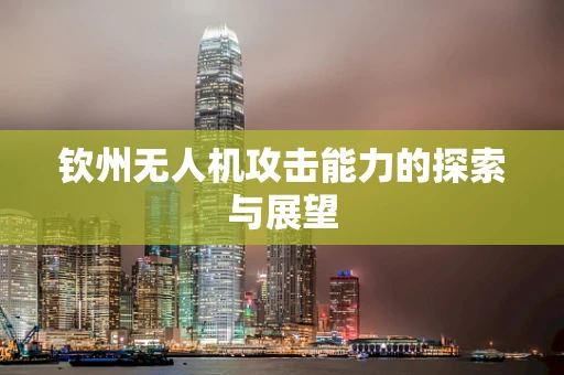 钦州无人机攻击能力的探索与展望