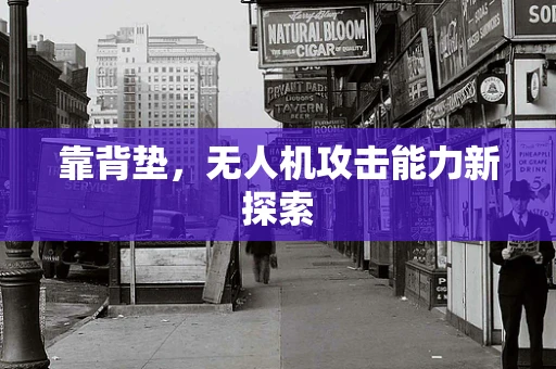 靠背垫，无人机攻击能力新探索
