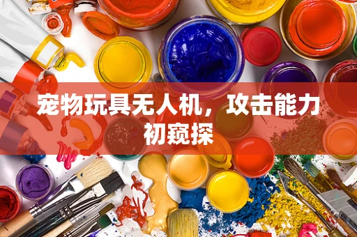 宠物玩具无人机，攻击能力初窥探