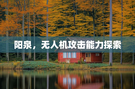 阳泉，无人机攻击能力探索