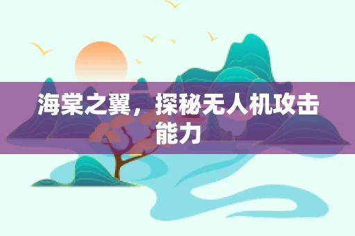 海棠之翼，探秘无人机攻击能力
