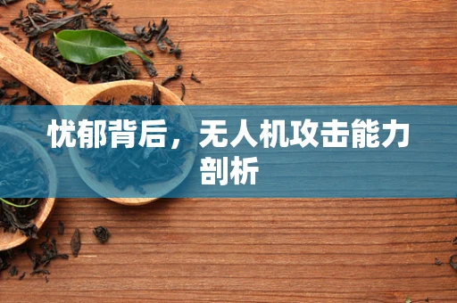 忧郁背后，无人机攻击能力剖析