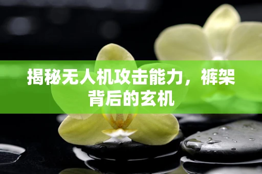 揭秘无人机攻击能力，裤架背后的玄机