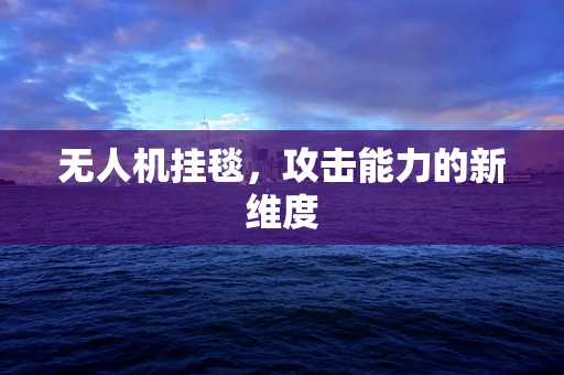 无人机挂毯，攻击能力的新维度