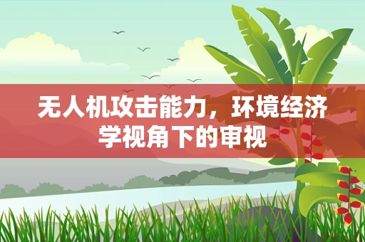 无人机攻击能力，环境经济学视角下的审视