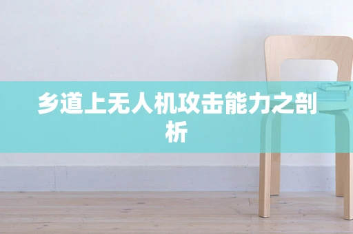 乡道上无人机攻击能力之剖析