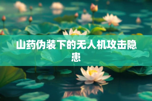 山药伪装下的无人机攻击隐患