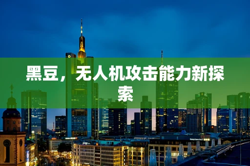 黑豆，无人机攻击能力新探索