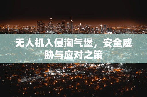 无人机入侵淘气堡，安全威胁与应对之策