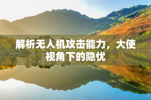 解析无人机攻击能力，大使视角下的隐忧