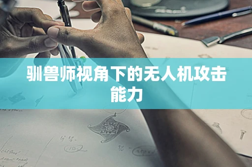 驯兽师视角下的无人机攻击能力