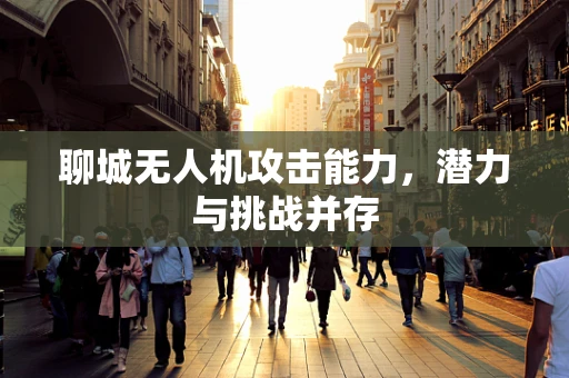 聊城无人机攻击能力，潜力与挑战并存