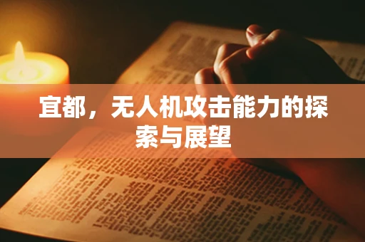 宜都，无人机攻击能力的探索与展望