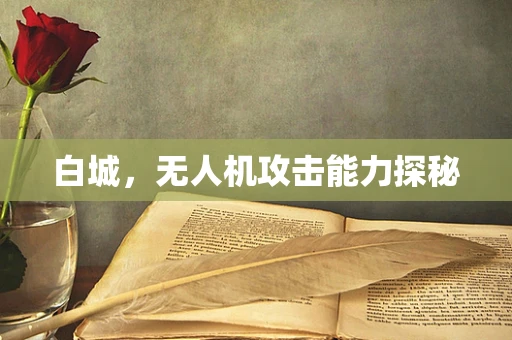 白城，无人机攻击能力探秘