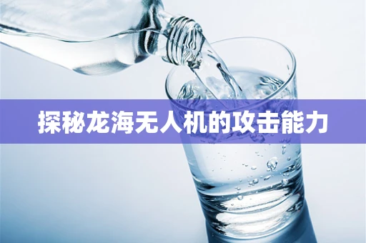 探秘龙海无人机的攻击能力