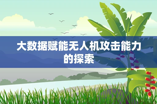 大数据赋能无人机攻击能力的探索