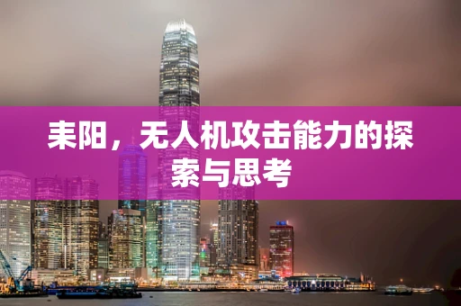耒阳，无人机攻击能力的探索与思考