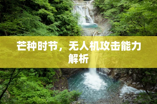 芒种时节，无人机攻击能力解析