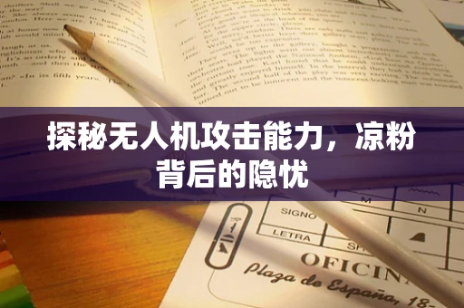 探秘无人机攻击能力，凉粉背后的隐忧