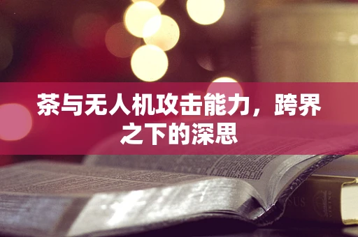 茶与无人机攻击能力，跨界之下的深思