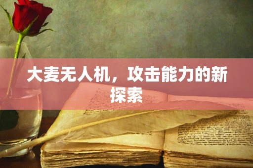 大麦无人机，攻击能力的新探索