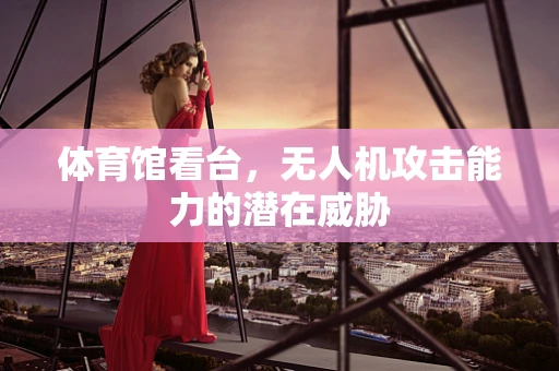 体育馆看台，无人机攻击能力的潜在威胁