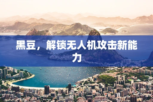黑豆，解锁无人机攻击新能力
