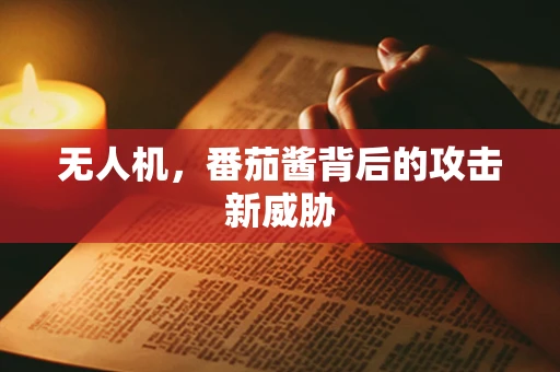 无人机，番茄酱背后的攻击新威胁