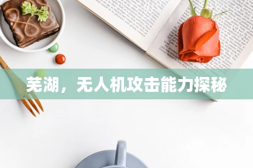 芜湖，无人机攻击能力探秘