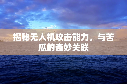 揭秘无人机攻击能力，与苦瓜的奇妙关联