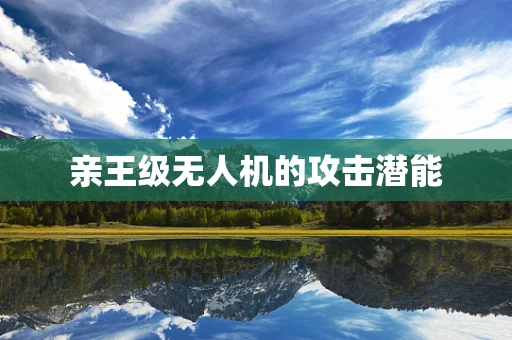 亲王级无人机的攻击潜能