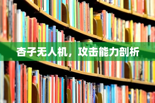杏子无人机，攻击能力剖析