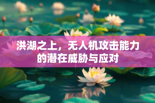 洪湖之上，无人机攻击能力的潜在威胁与应对