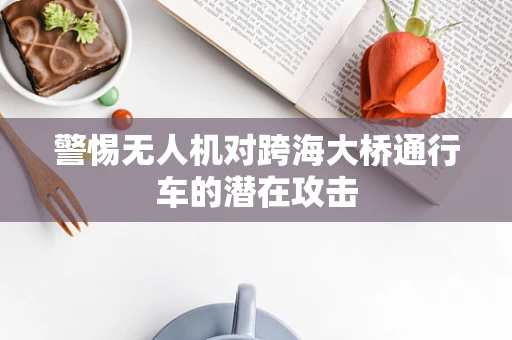 警惕无人机对跨海大桥通行车的潜在攻击