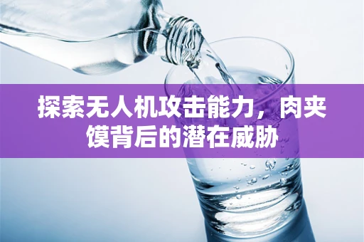 探索无人机攻击能力，肉夹馍背后的潜在威胁