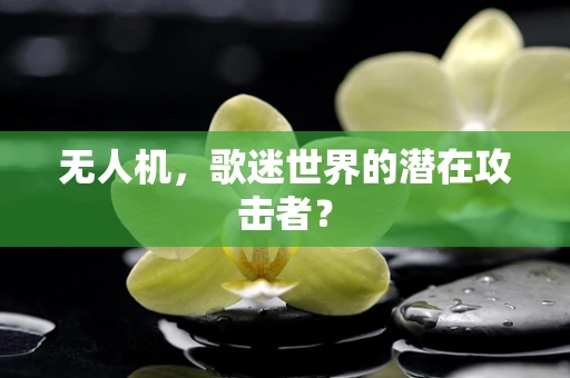 无人机，歌迷世界的潜在攻击者？