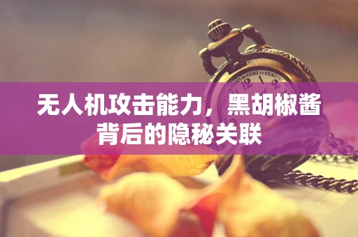 无人机攻击能力，黑胡椒酱背后的隐秘关联