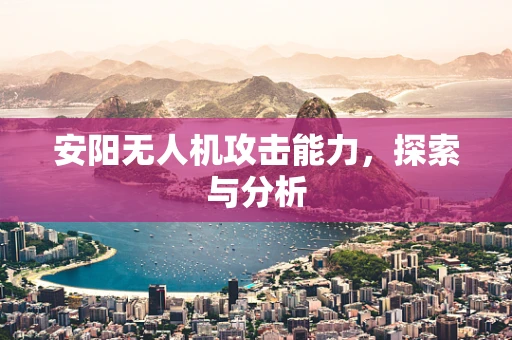 安阳无人机攻击能力，探索与分析