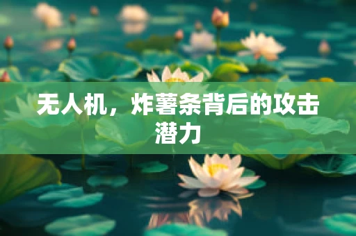无人机，炸薯条背后的攻击潜力