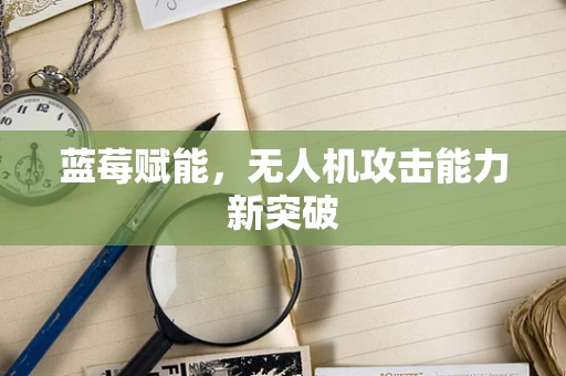 蓝莓赋能，无人机攻击能力新突破
