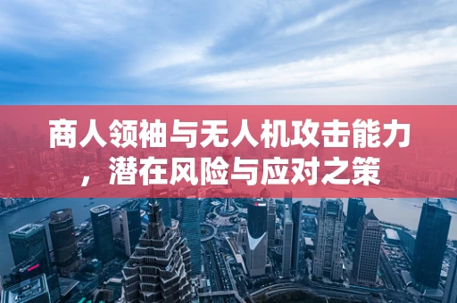 商人领袖与无人机攻击能力，潜在风险与应对之策