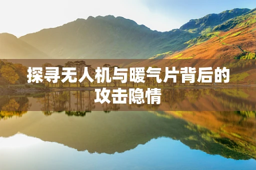 探寻无人机与暖气片背后的攻击隐情