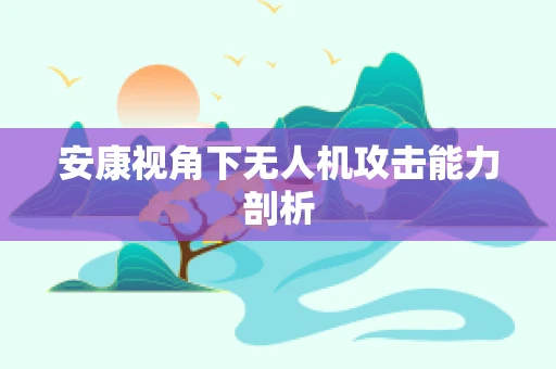 安康视角下无人机攻击能力剖析