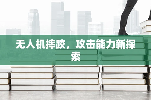 无人机摔跤，攻击能力新探索